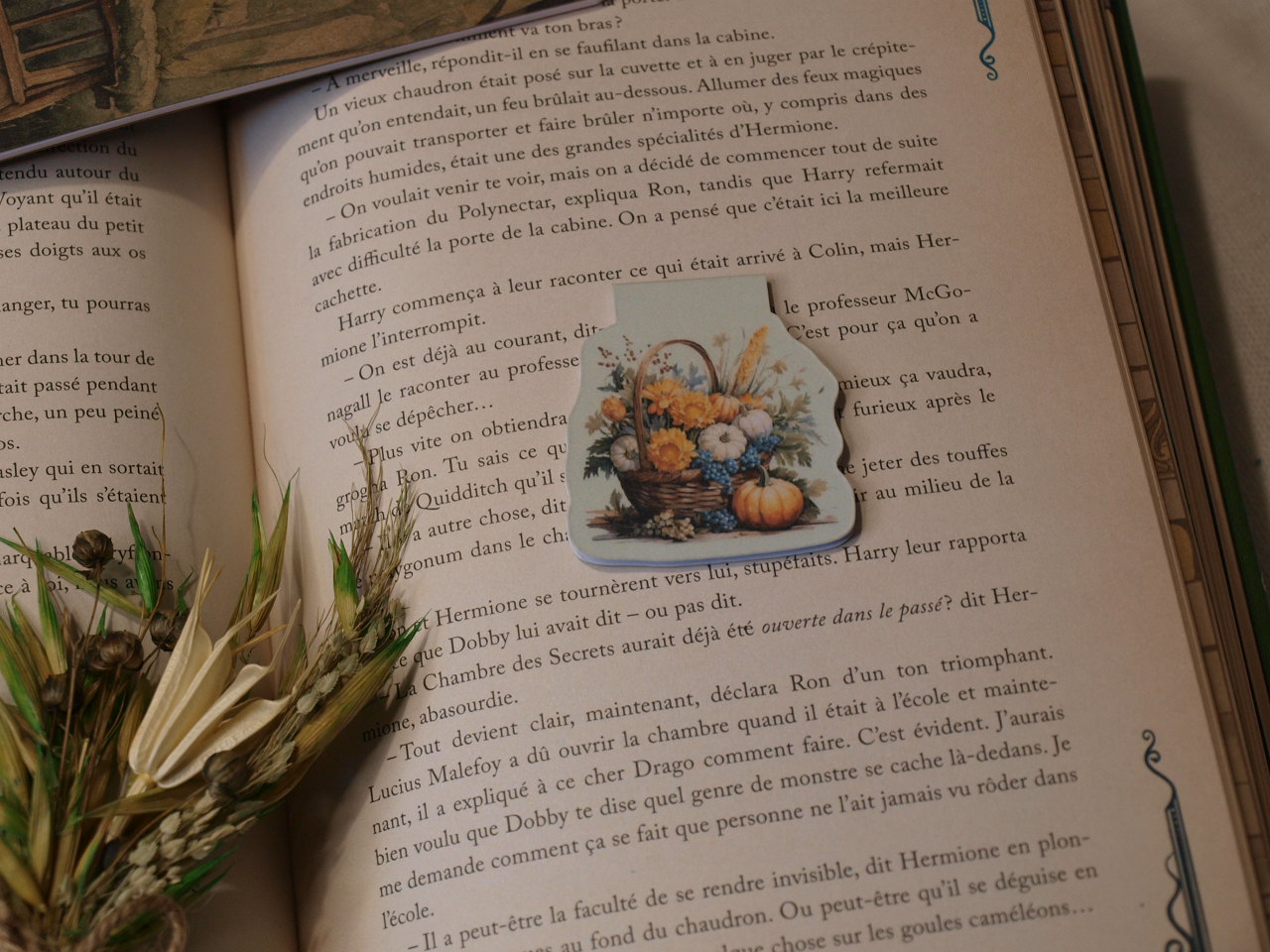 Marque-pages magnétiques - La Rôdeuse – Image 6