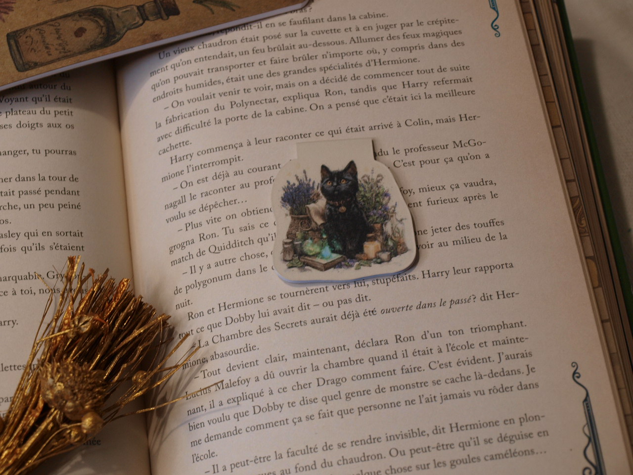 Marque-pages magnétiques - La Soigneuse – Image 7