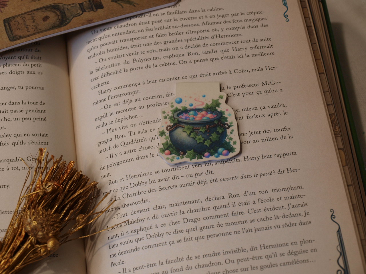 Marque-pages magnétiques - La Soigneuse – Image 2