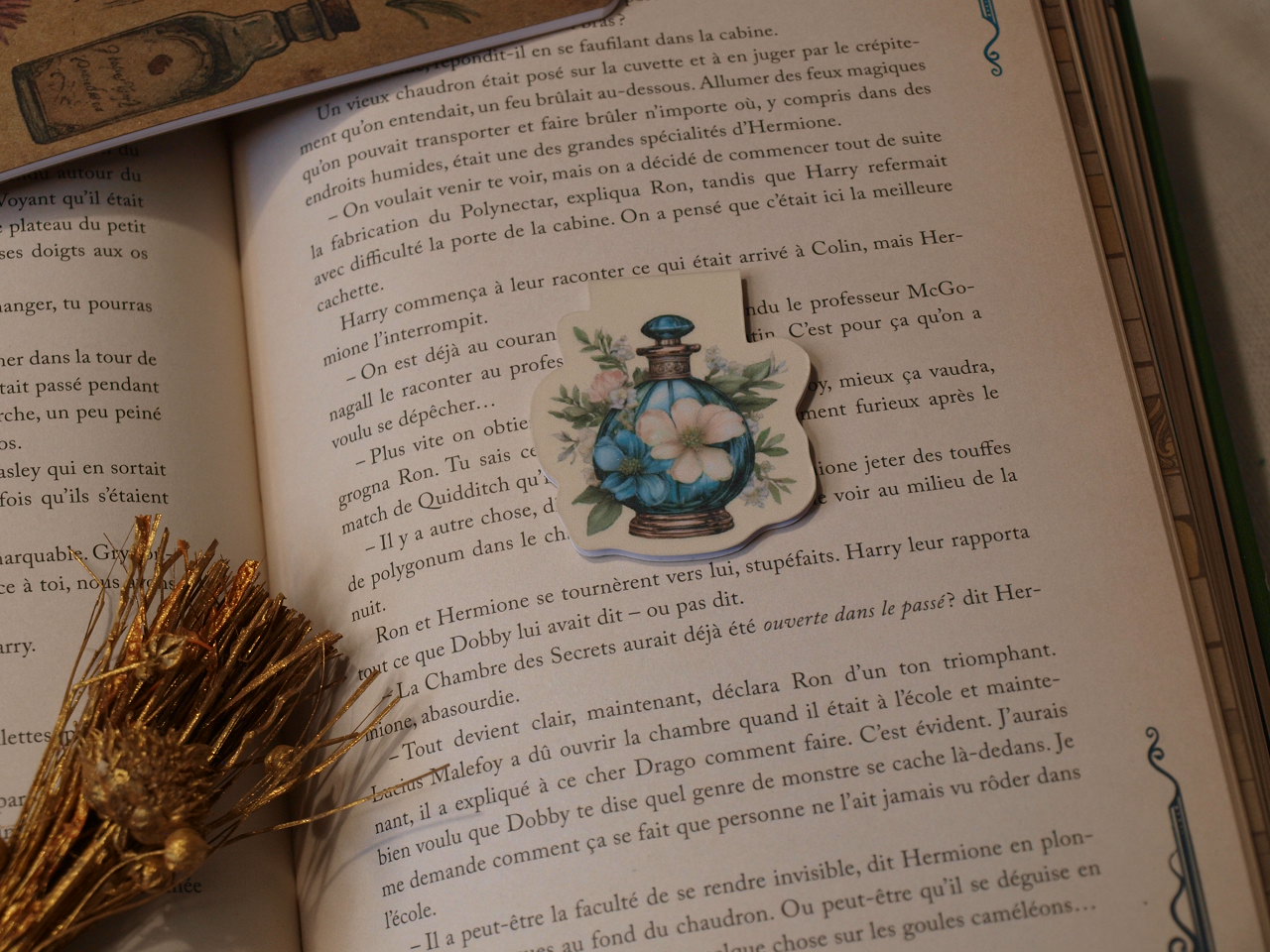 Marque-pages magnétiques - La Soigneuse – Image 6