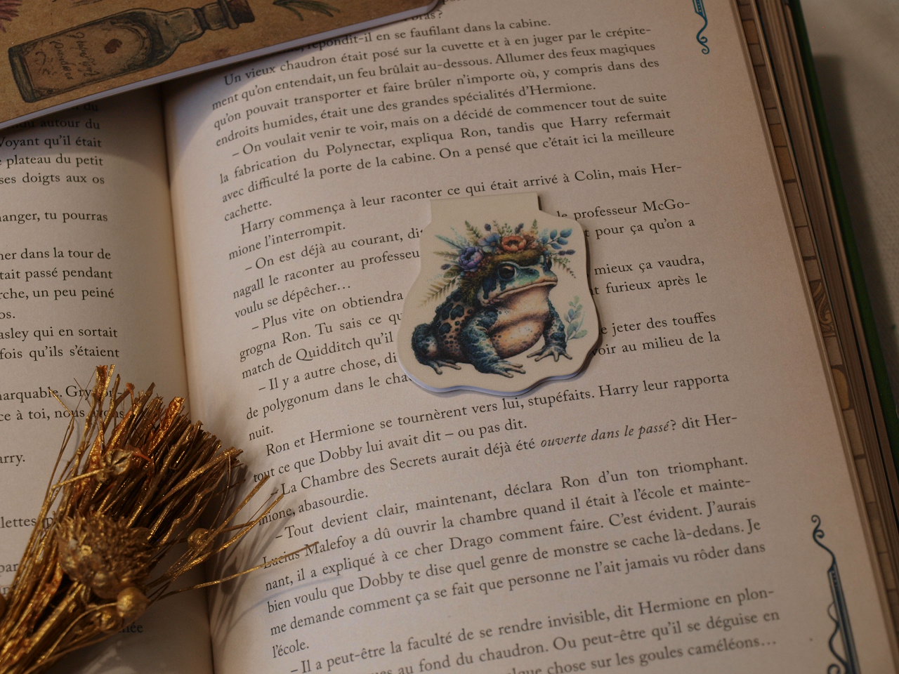 Marque-pages magnétiques - La Soigneuse – Image 4