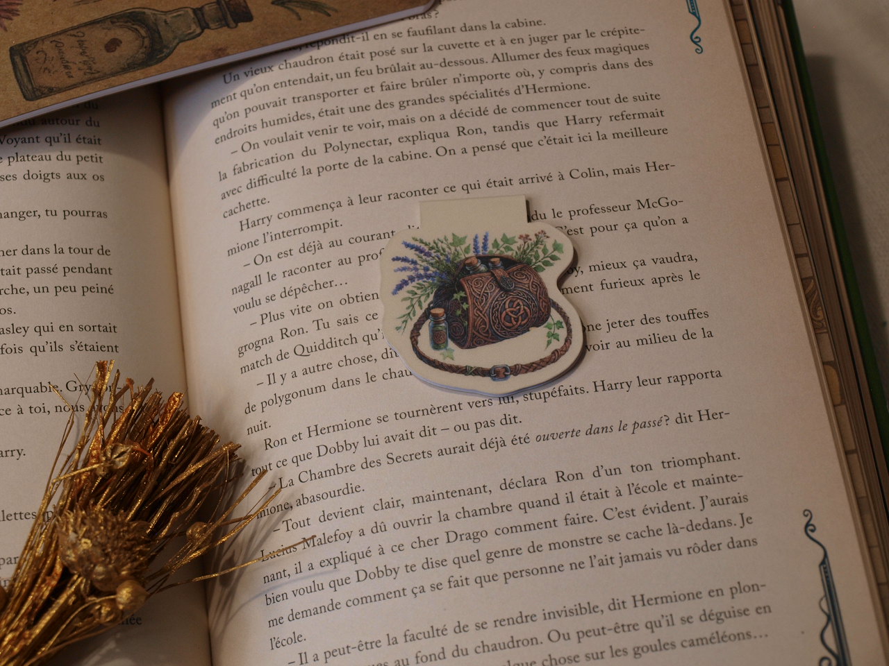 Marque-pages magnétiques - La Soigneuse – Image 3