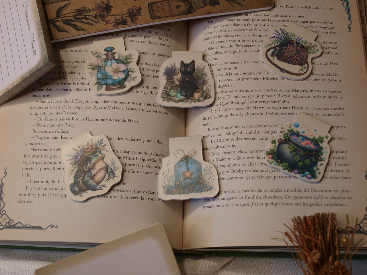 Marque-pages magnétiques - La Soigneuse